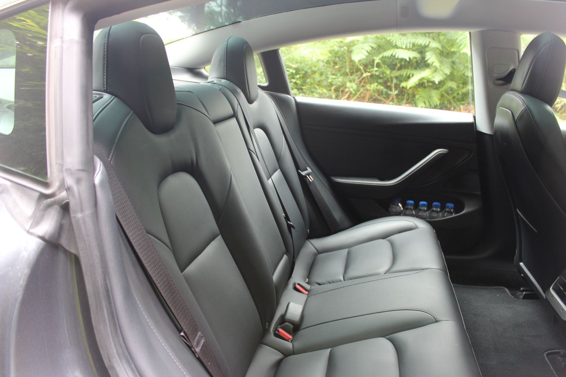 Vista trasera del interior de un Tesla gris. Asientos de cuero negro y vistas a la vegetación exterior.