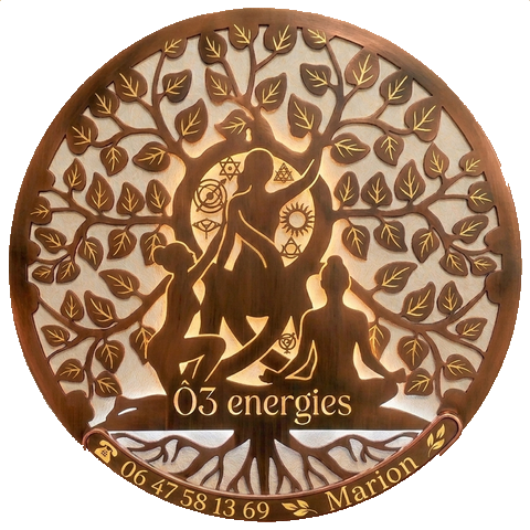 Logo de l'entreprise &Ocirc;3 Energies