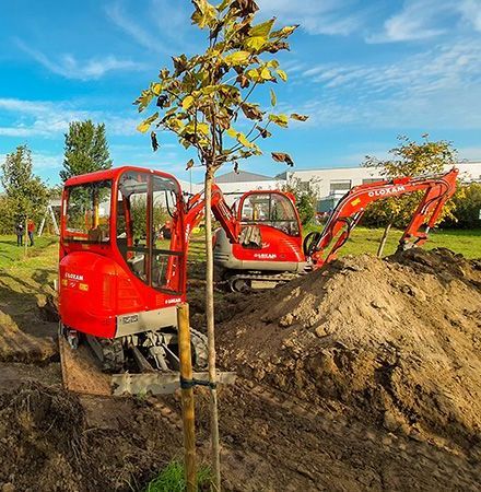 Ein roter Bagger steht auf einem Erdhaufen neben einem Baum.