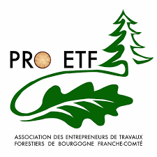 Pro Etf