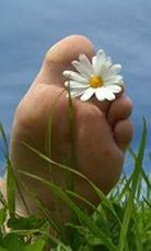 Lietze Orthop&auml;die GmbH | Stolpen | Logo