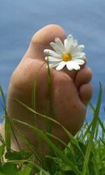 Lietze Orthop&auml;die GmbH | Stolpen | Logo