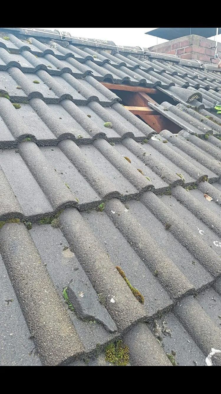 Nahaufnahme eines grauen Betondachziegels mit einer sichtbaren Lücke, wo Ziegel fehlen und die Holzkonstruktion freilegt.