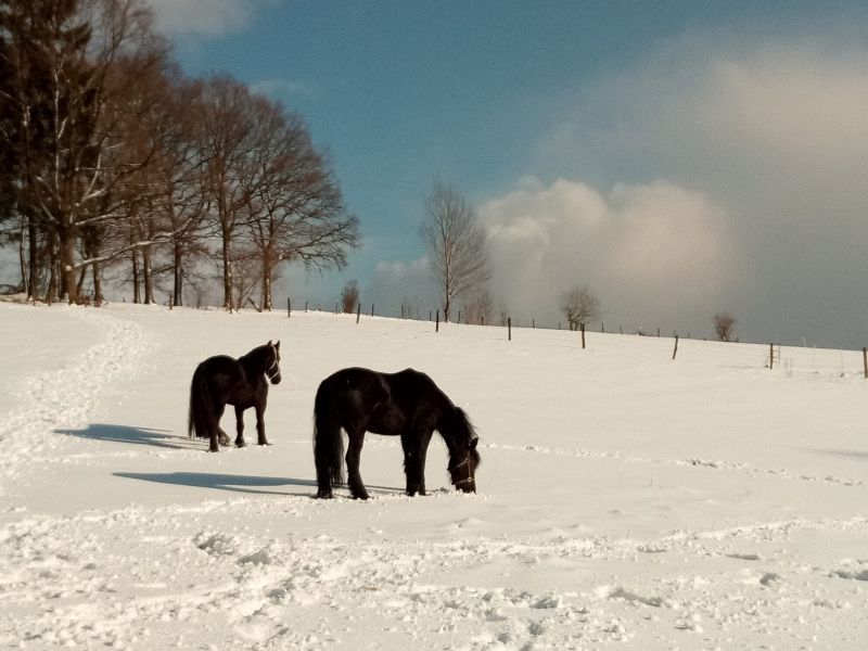 Bild: Landschaftsbild