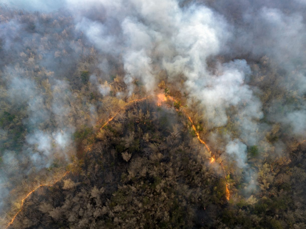 inquinamento da incendio - Econs SA