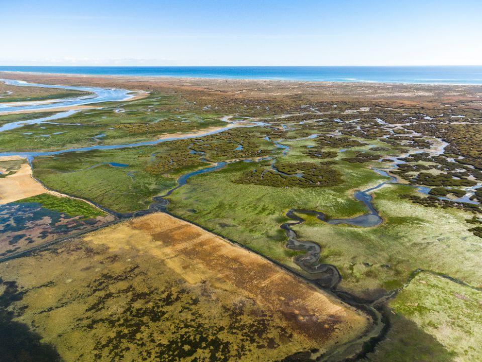 paesaggio con fiume - Econs SA