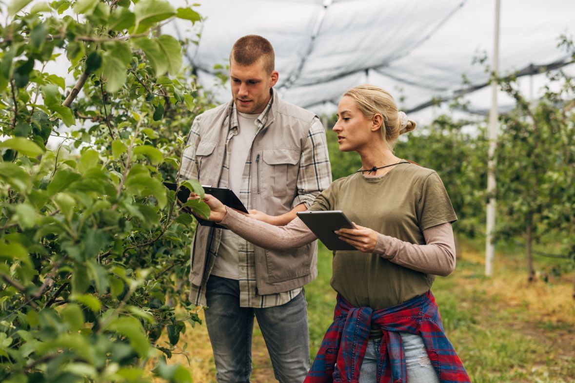monitoraggio flora - Econs SA