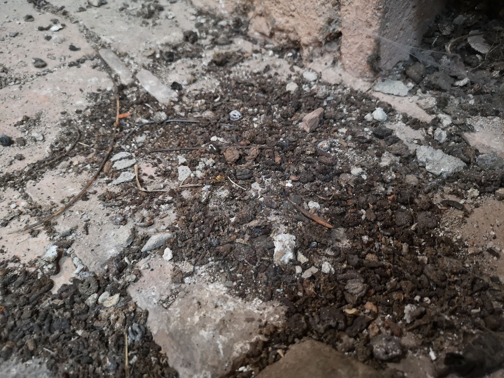 monitoraggio campo di grano - Econs SA