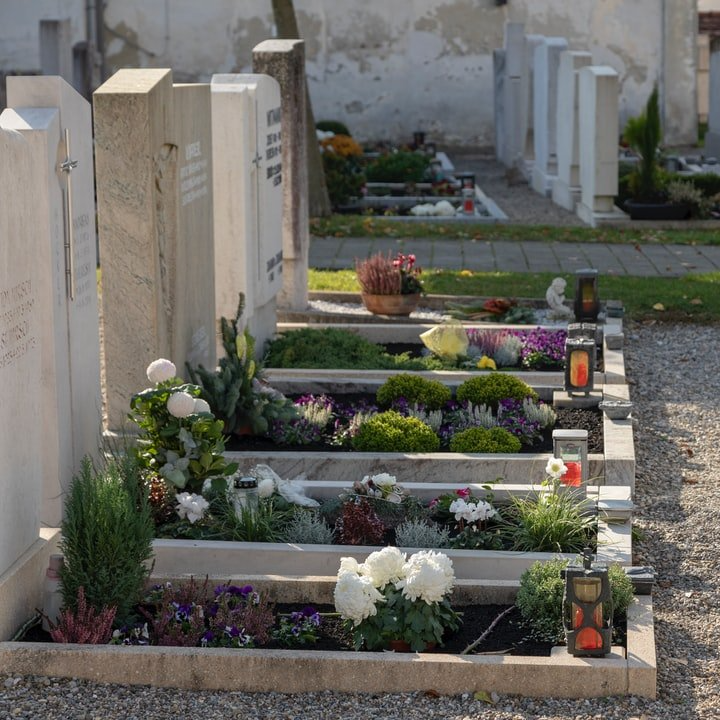 Photo de plusieurs caveaux ornés de fleurs