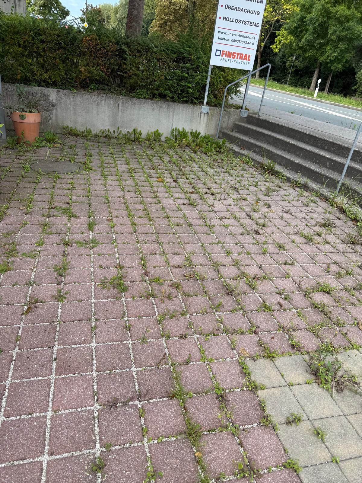 Außenanlage mit Pflastersteinen und Treppenaufgang