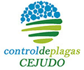 logotipo cabecera