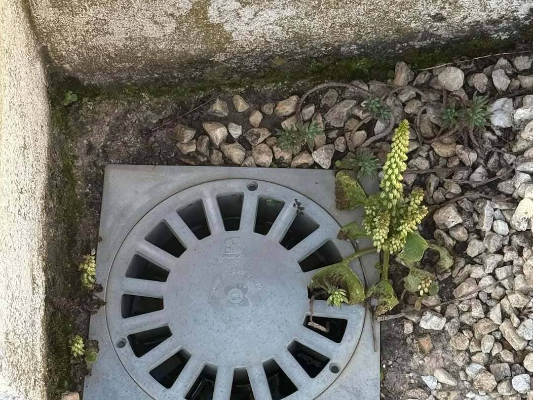 Una tapa de alcantarilla se encuentra encima de una pila de rocas.