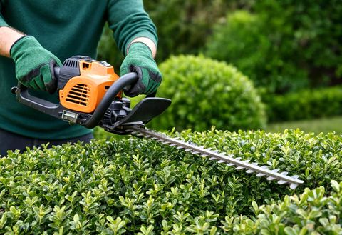 Personne taillant une haie dans un jardin avec un taille-haie électrique orange