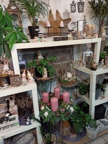 Ein Raum voller Topfpflanzen und Kerzen.