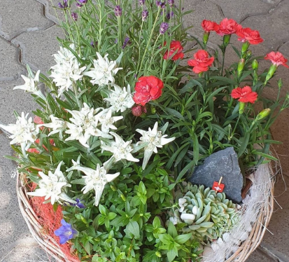 Auf dem Boden steht ein Korb voller Blumen und Pflanzen.