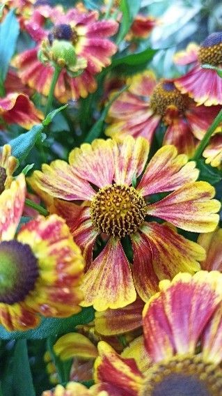 Ein Blumenstrauß mit einer gelben Sonnenblume in der Mitte