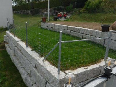 Ein Zaun umgibt einen üppigen grünen Rasen in einem Hinterhof.