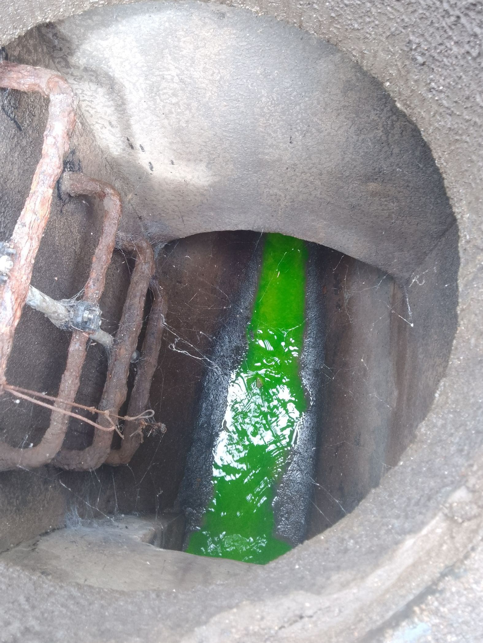 Contrôle d'assainissement par colorant
