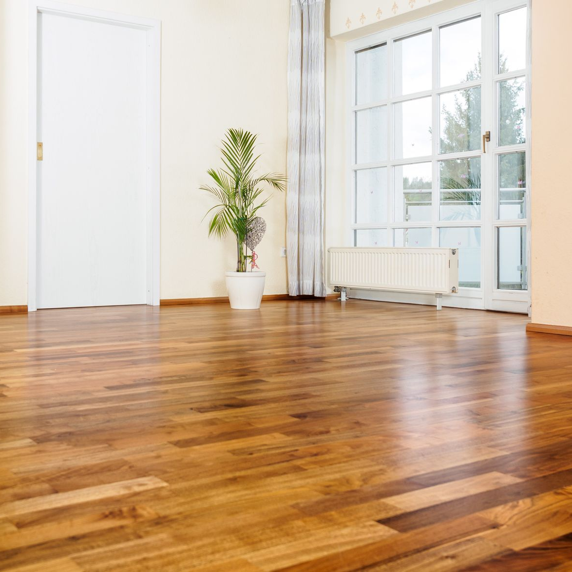 Pièce vide avec parquet brillant, porte blanche, grande fenêtre et plante en pot.