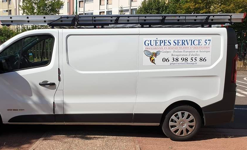 Fourgonnette blanche avec logo Guêpes Service 57, échelle sur le toit, garée dans une rue.