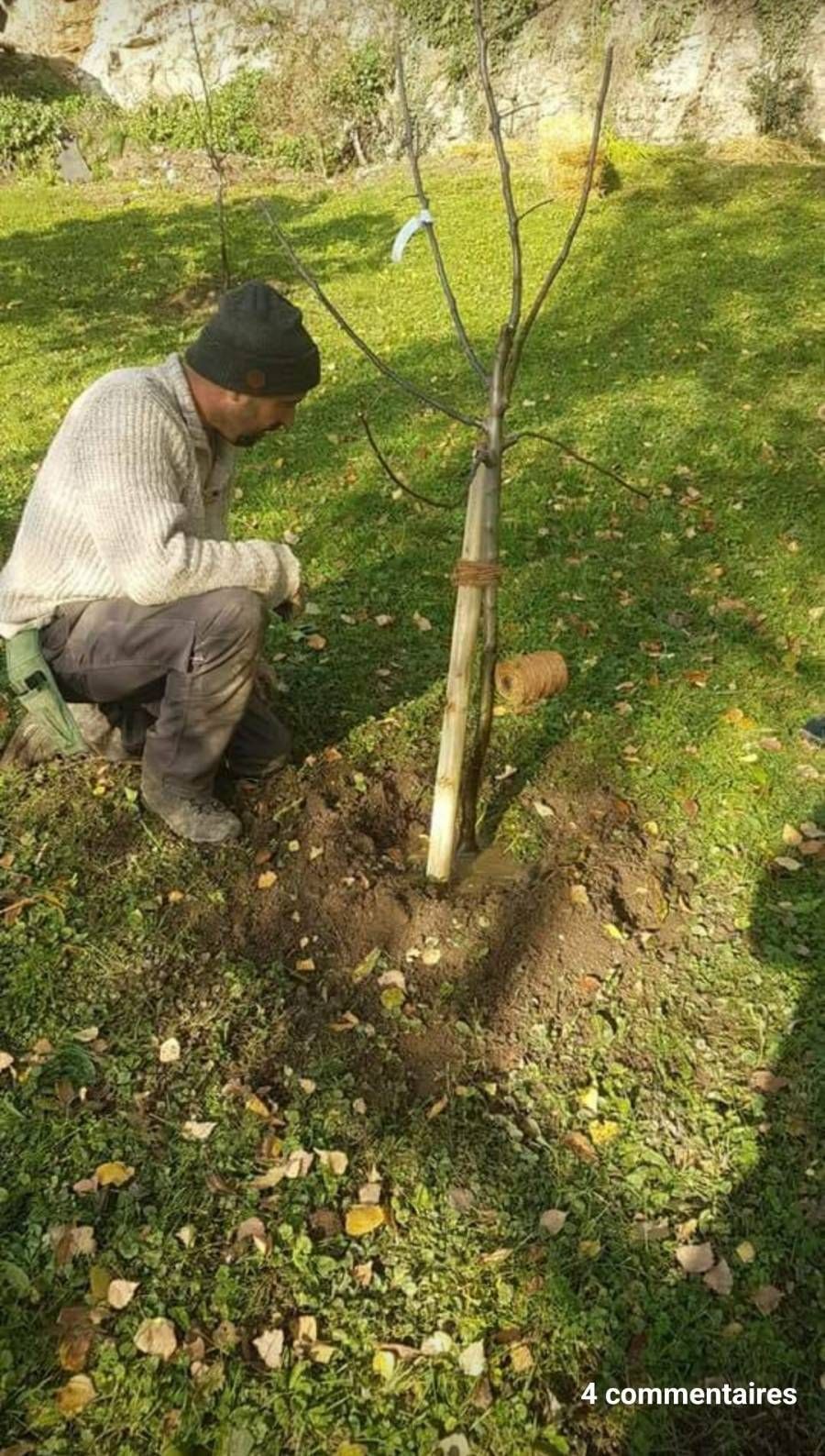 Profil Vert, Minster