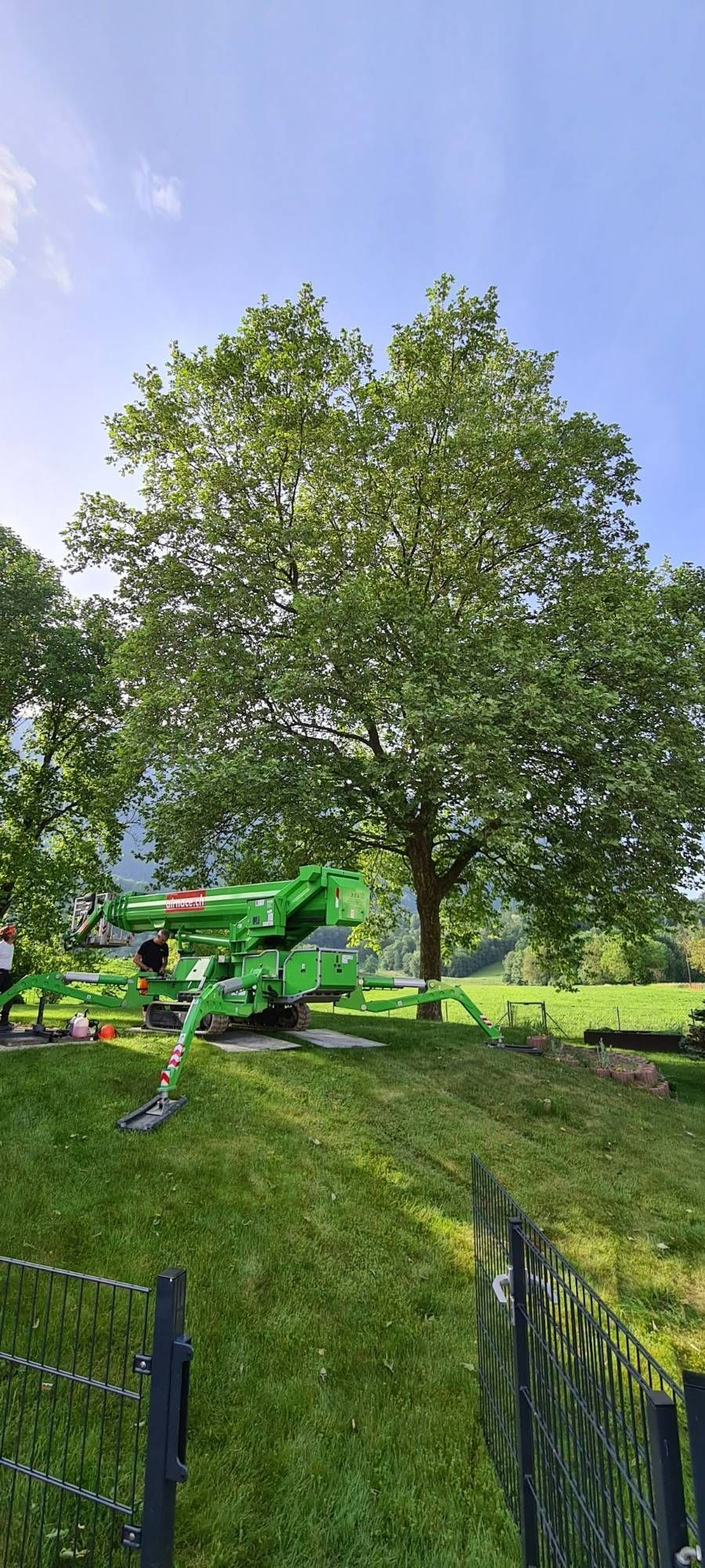 Profil Vert, Minster