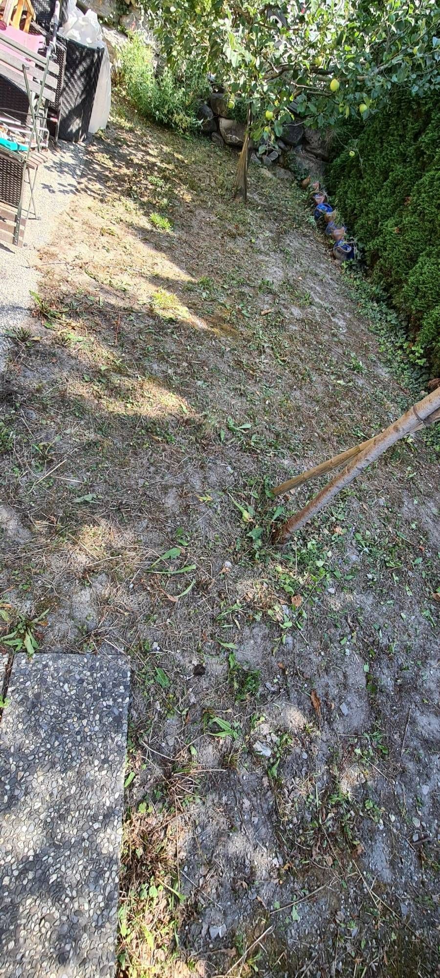 Profil Vert, Minster