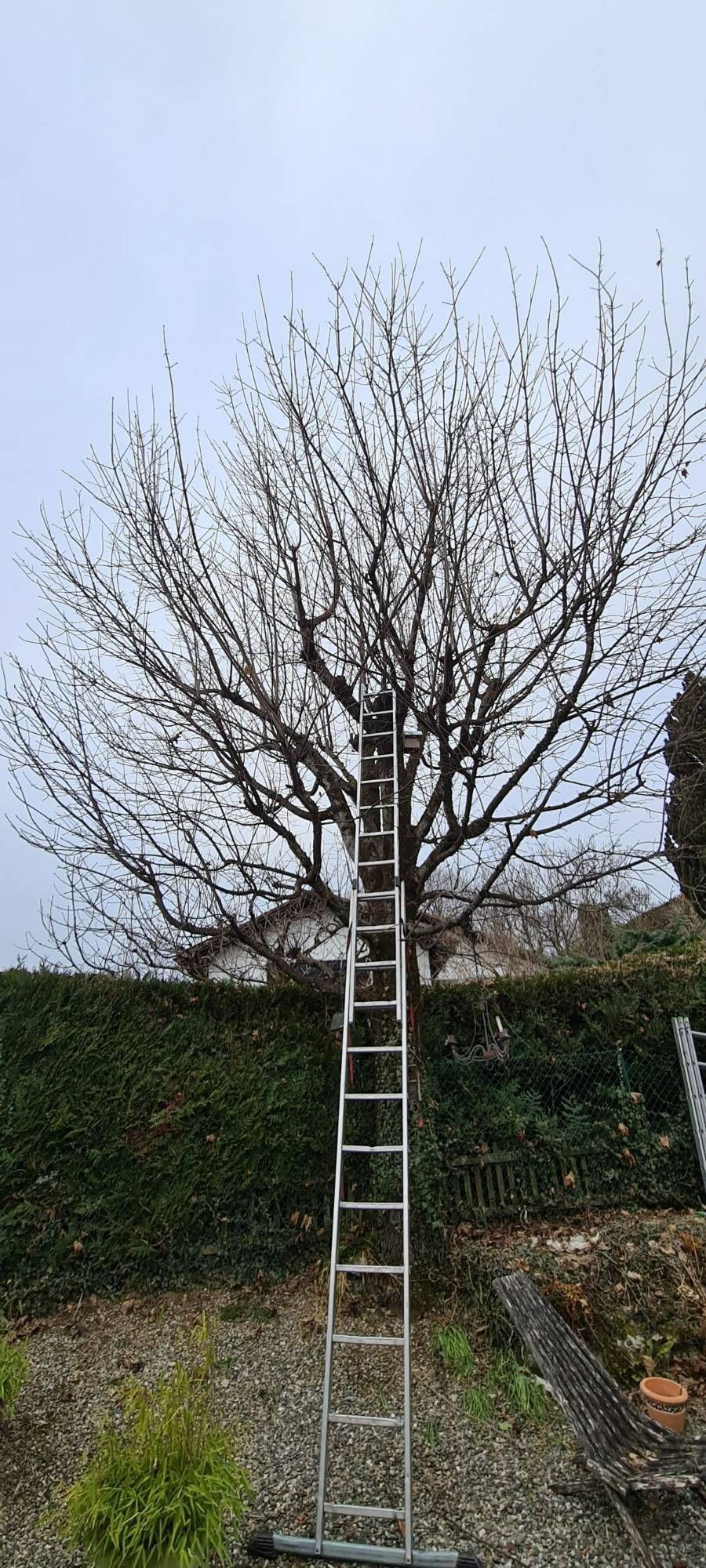 Profil Vert, Minster