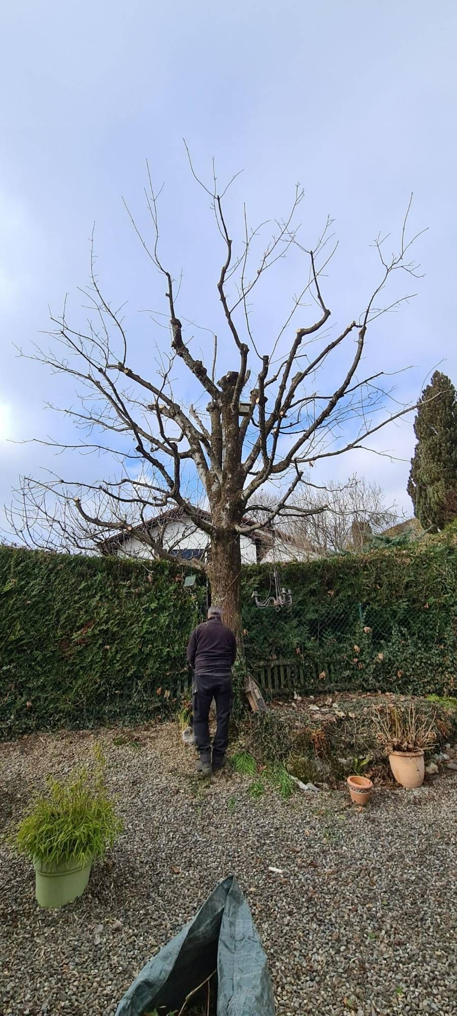 Profil Vert, Minster