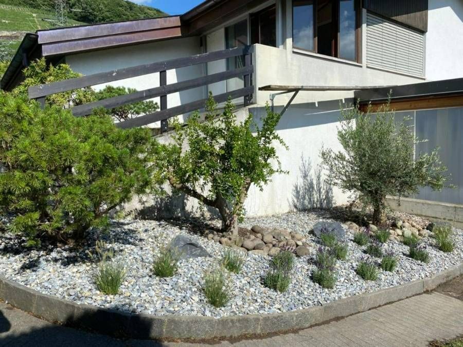 allée végétalisée