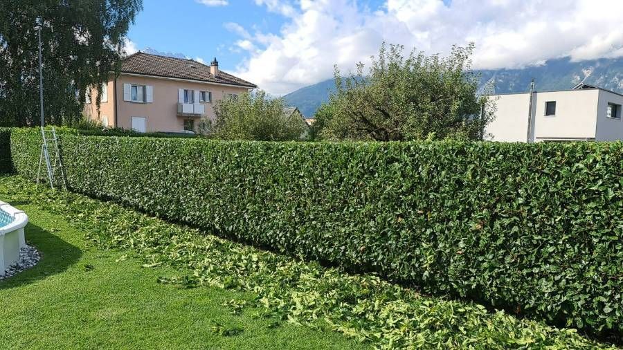 Profil Vert, Minster