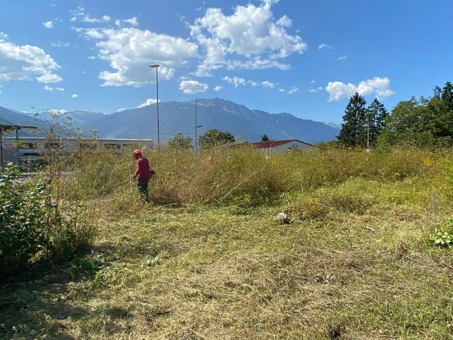 Profil Vert, Minster