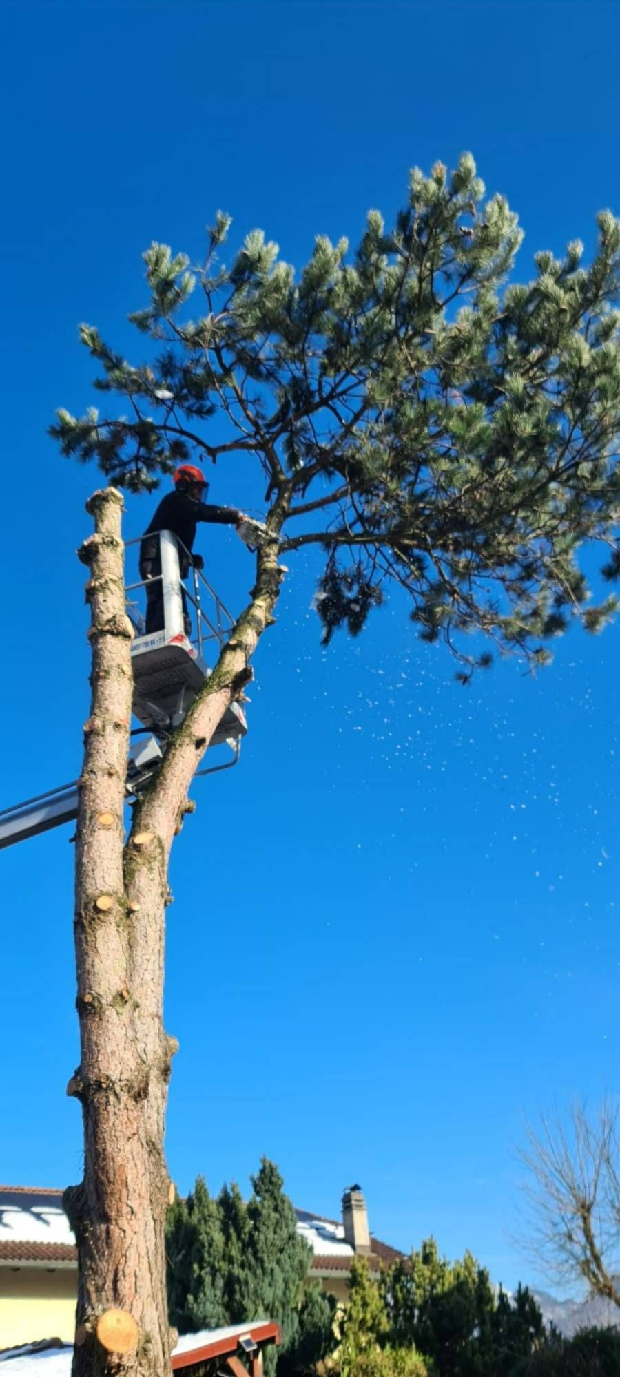 Profil Vert, Minster