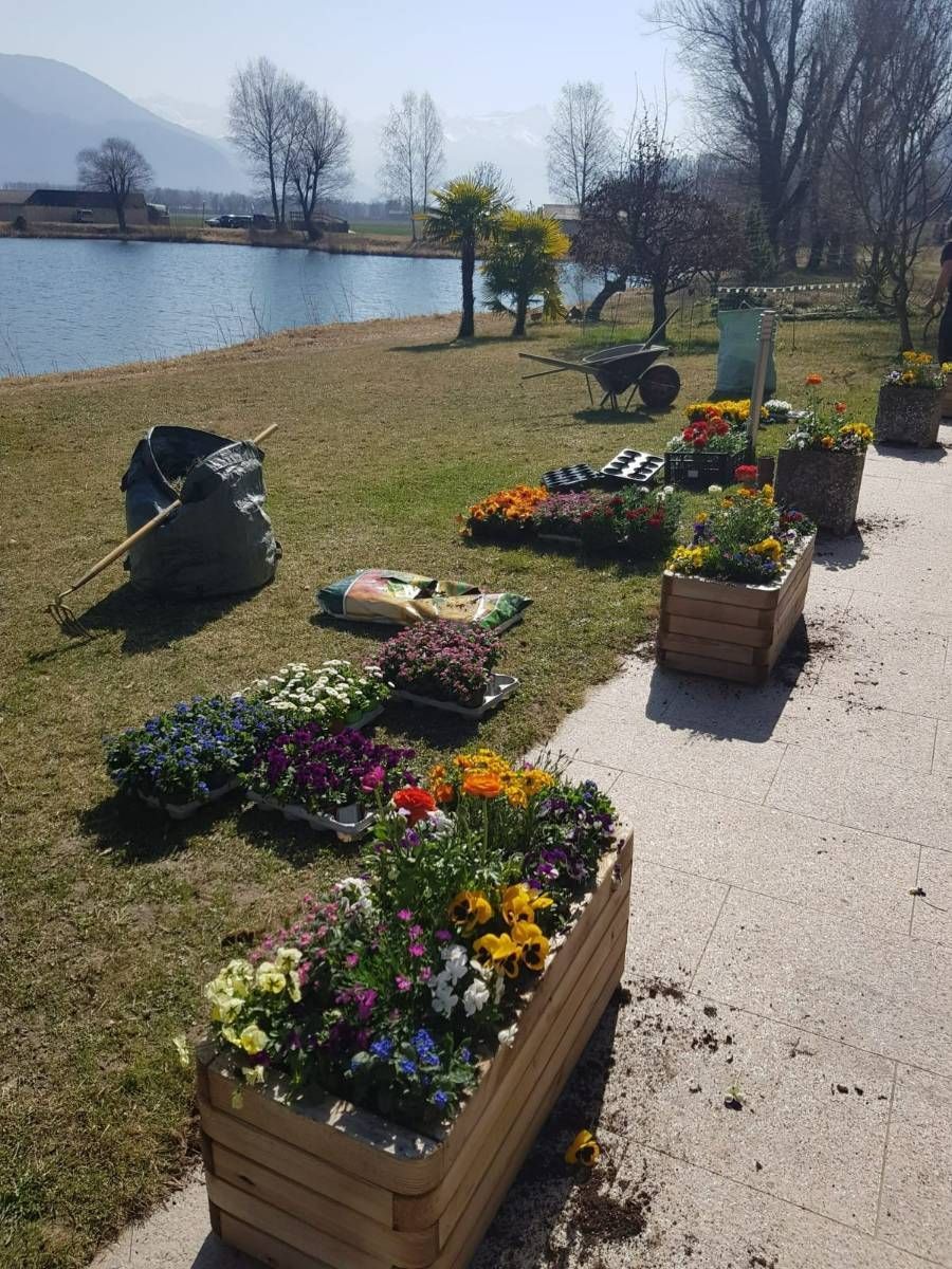 Profil Vert, Minster