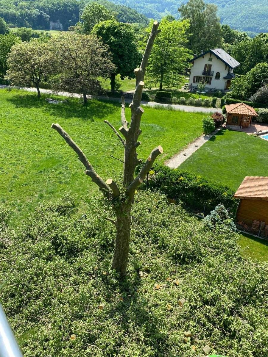 Profil Vert, Minster