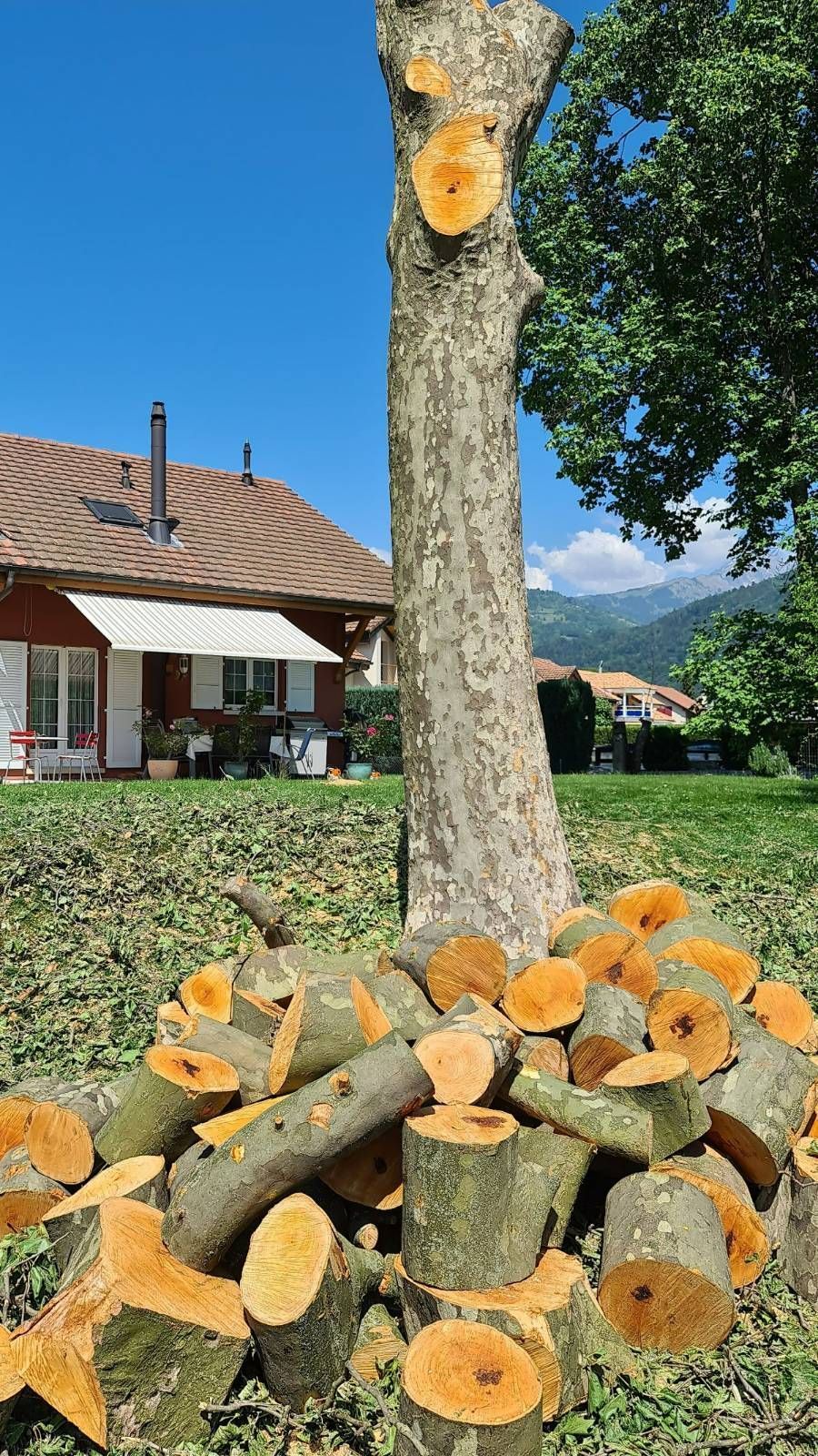 Profil Vert, Minster