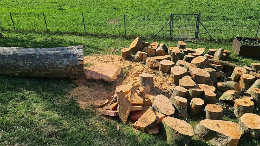 Profil Vert, Minster