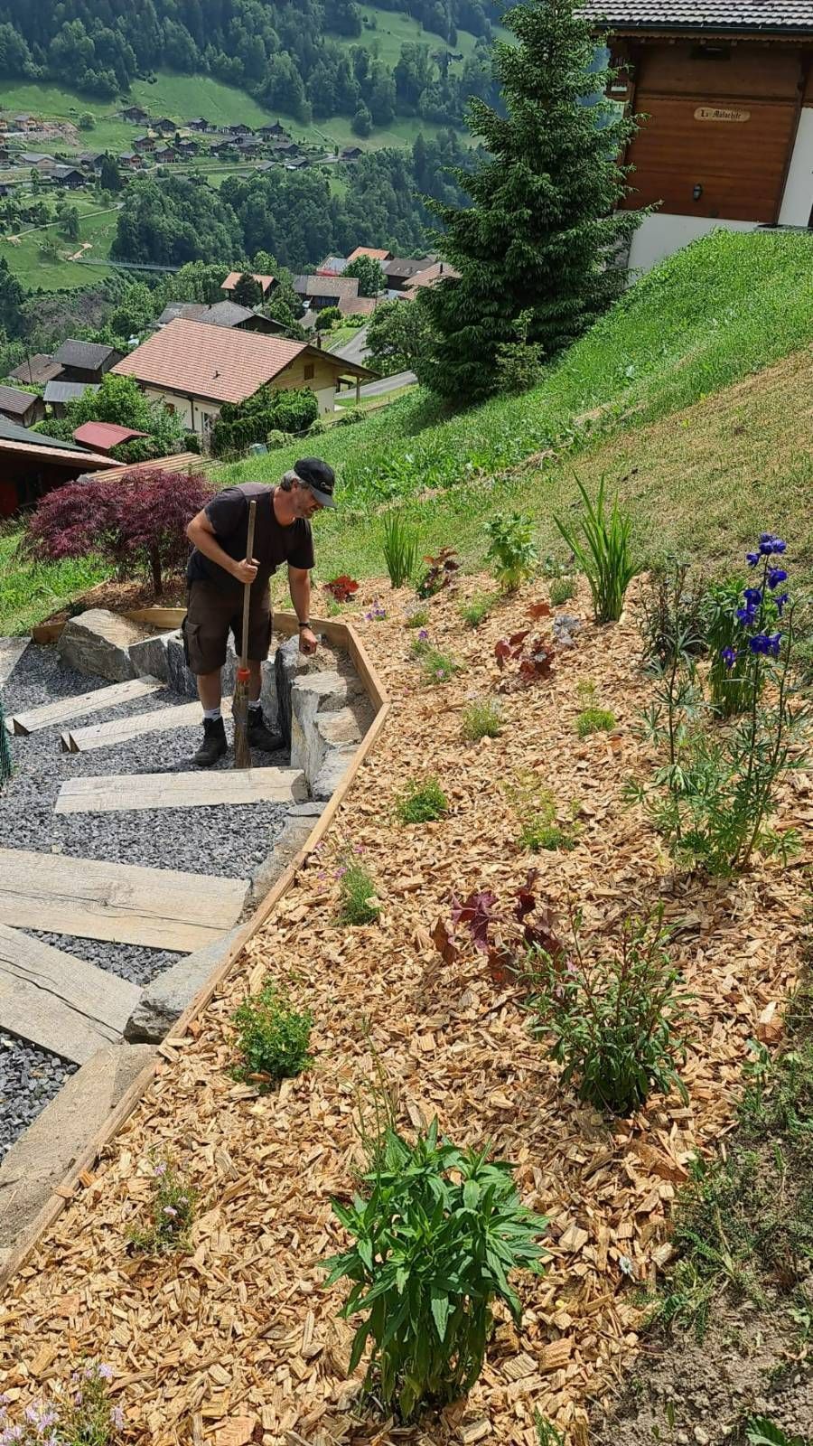 Profil Vert, Minster