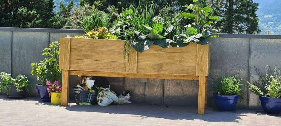 Profil Vert, Minster