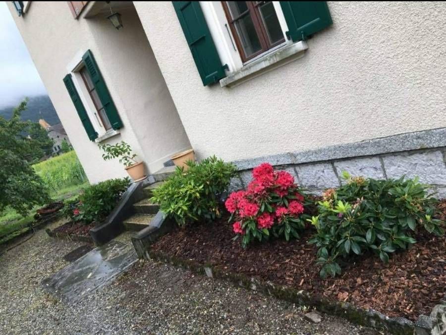 plantation de fleurs