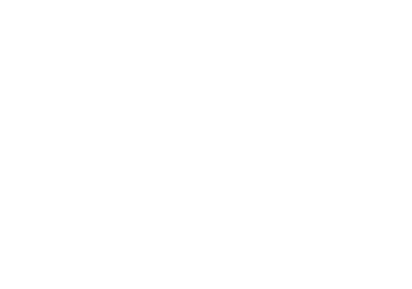 Raskashuolto M. Salminen