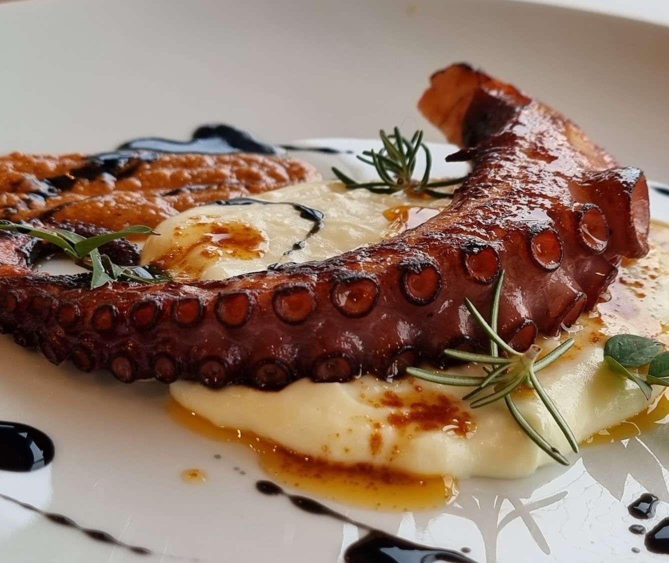 Tentáculo de pulpo a la parrilla sobre polenta cremosa, rociado con salsa y adornado con hierbas.