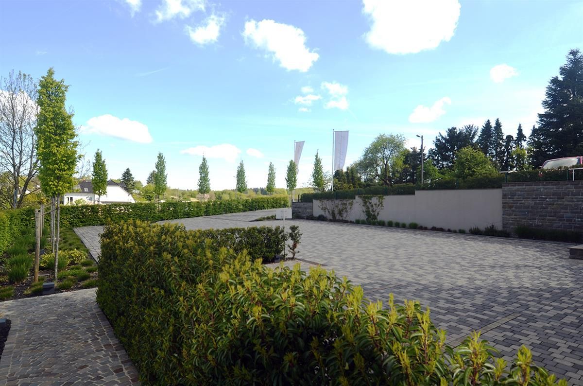 Ein üppiger grüner Garten mit Bäumen und Sträuchern und einem blauen Himmel