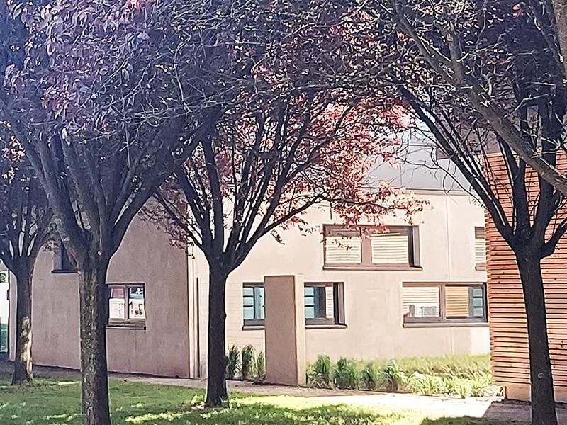 Vor einem Gebäude steht eine Reihe von Bäumen.