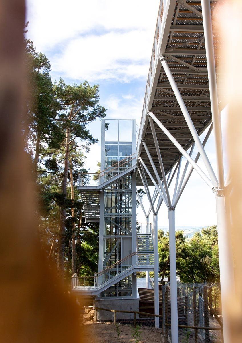 Passerelle - Parc aux Loups du Gévaudan 5