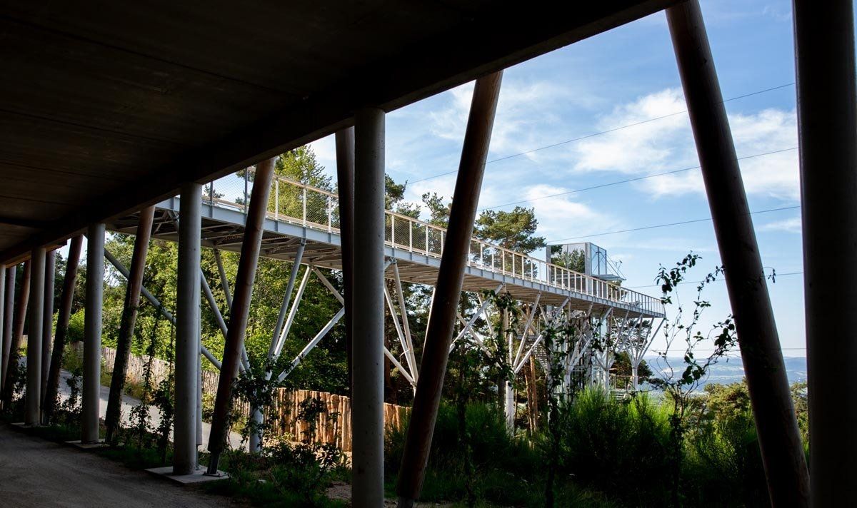 Passerelle - Parc aux Loups du Gévaudan 3