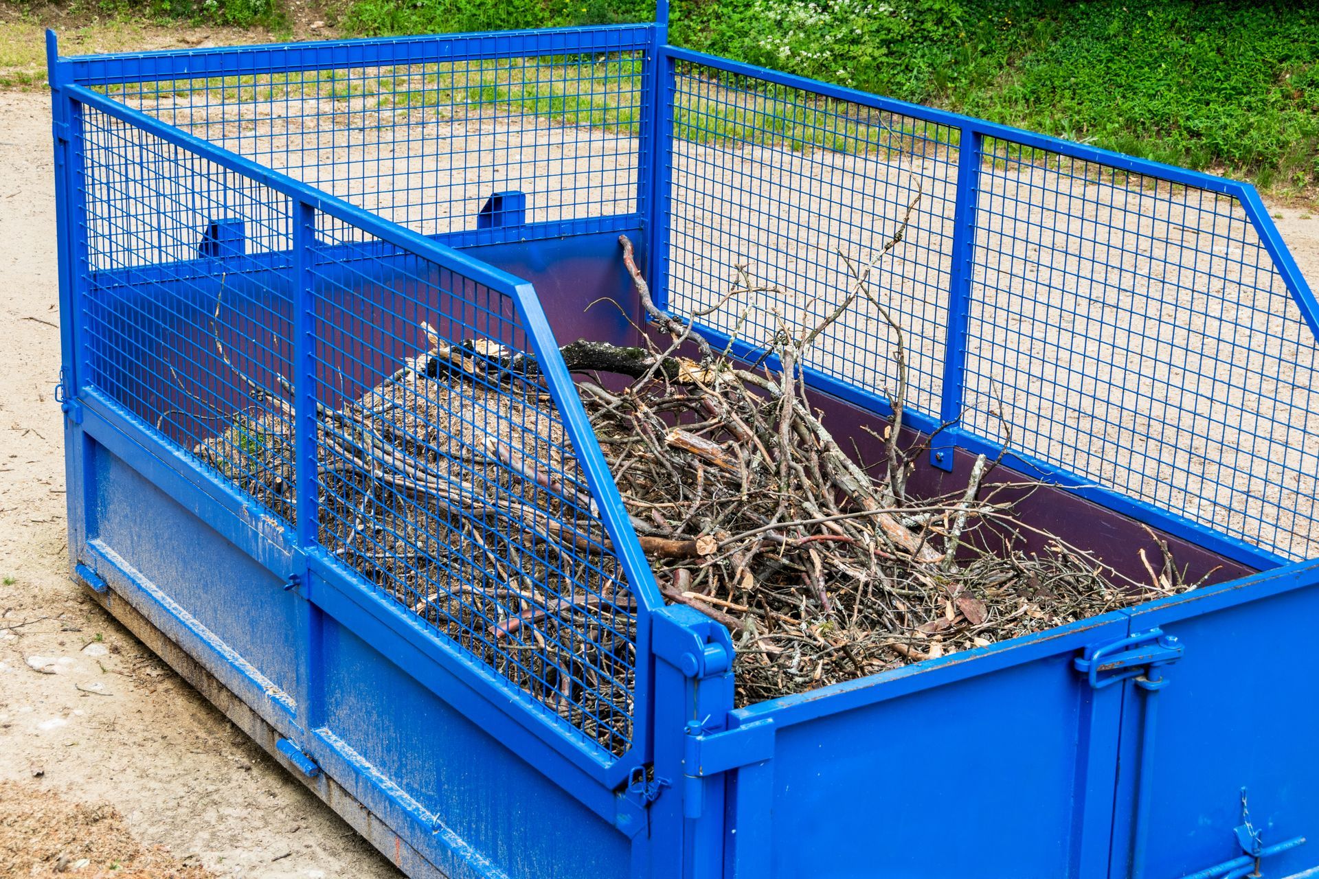 Un conteneur à déchets métallique bleu vif, ouvert sur le dessus, posé sur la terre, partiellement rempli de petites branches et de brindilles.