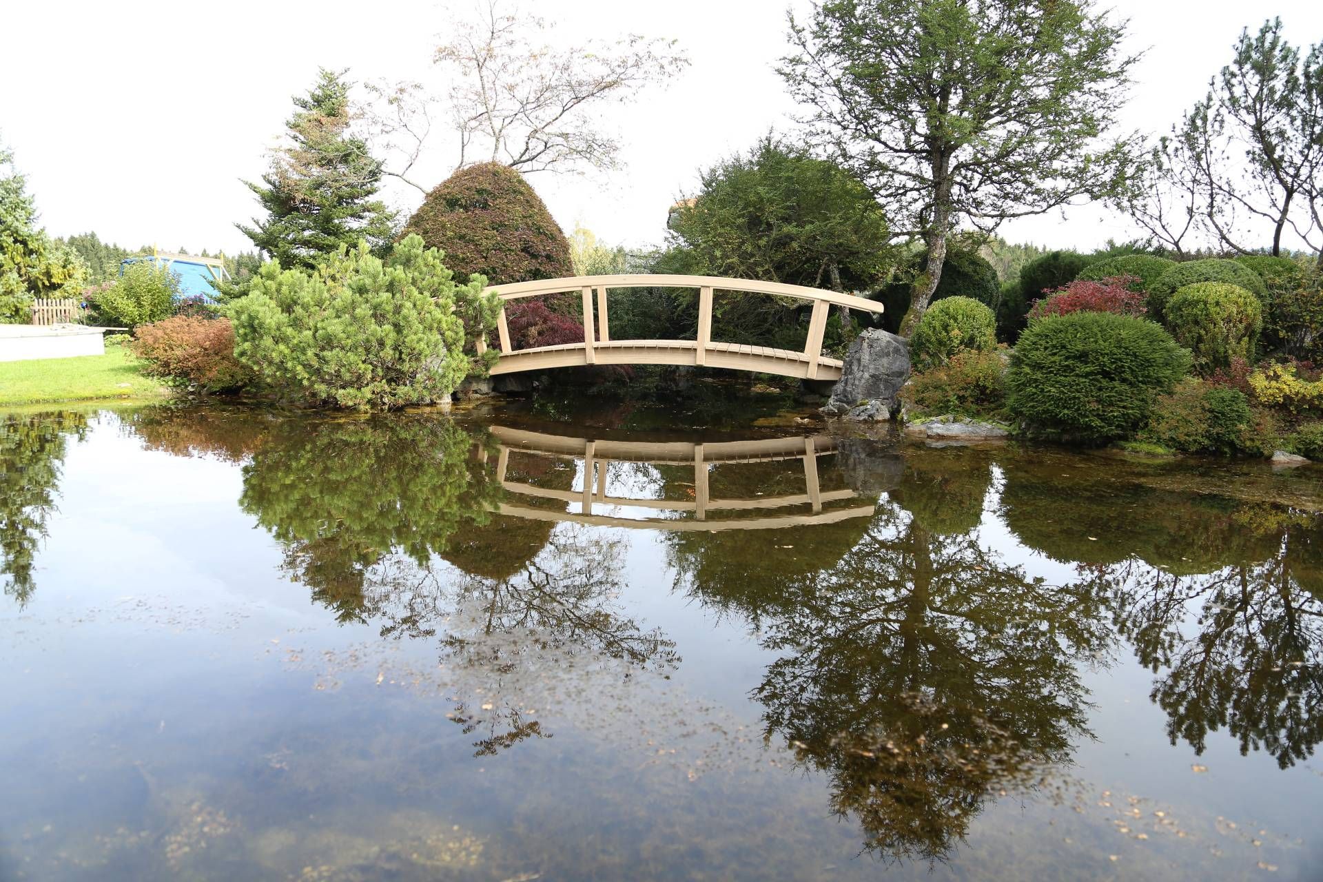 eine kleine Holzbrücke über einen Teich in einem Garten