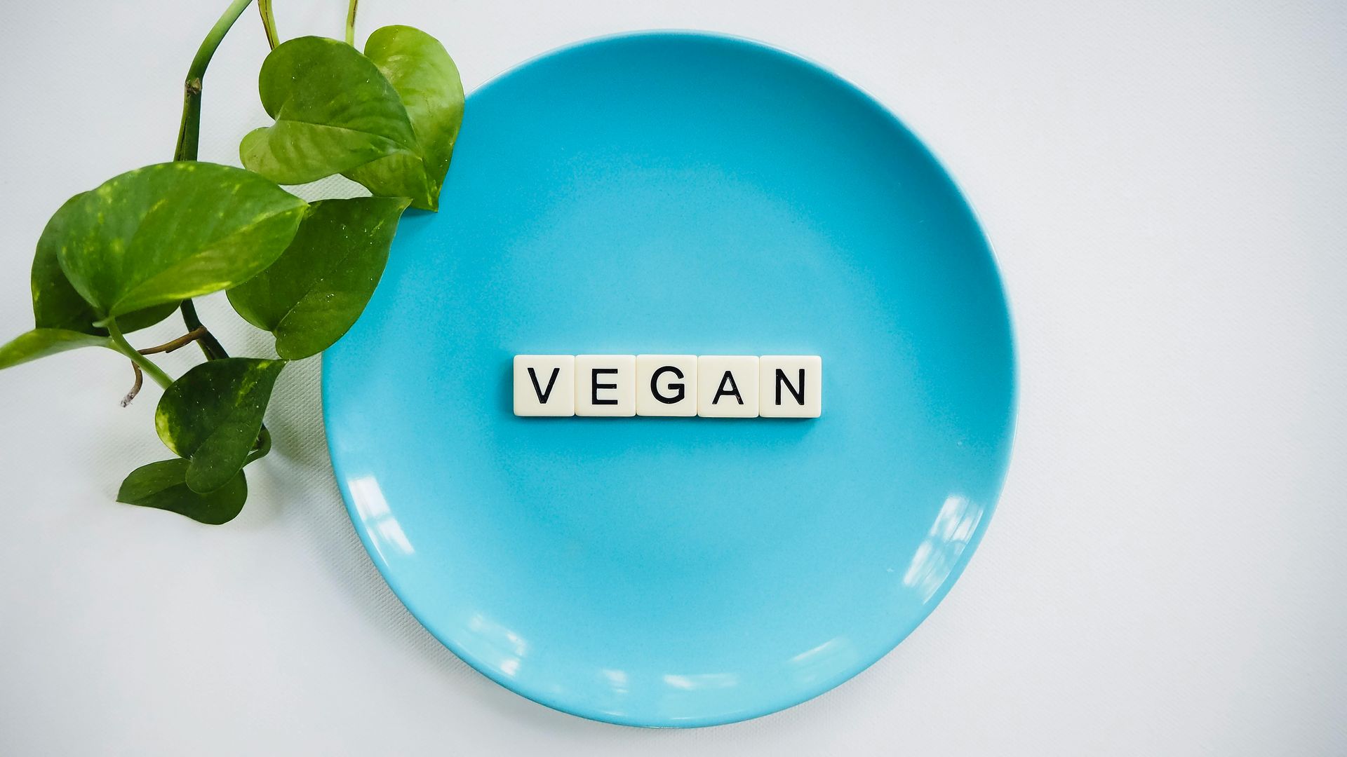 Blauer Teller mit „VEGAN“-Blöcken und grünen Blättern auf weißem Hintergrund