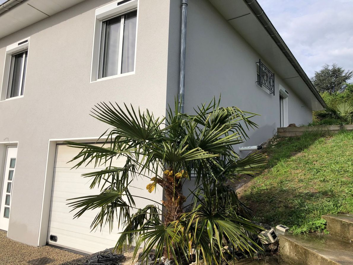 Une maison avec un palmier.